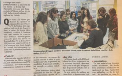 Journée « Insertion professionnelle » à Toul